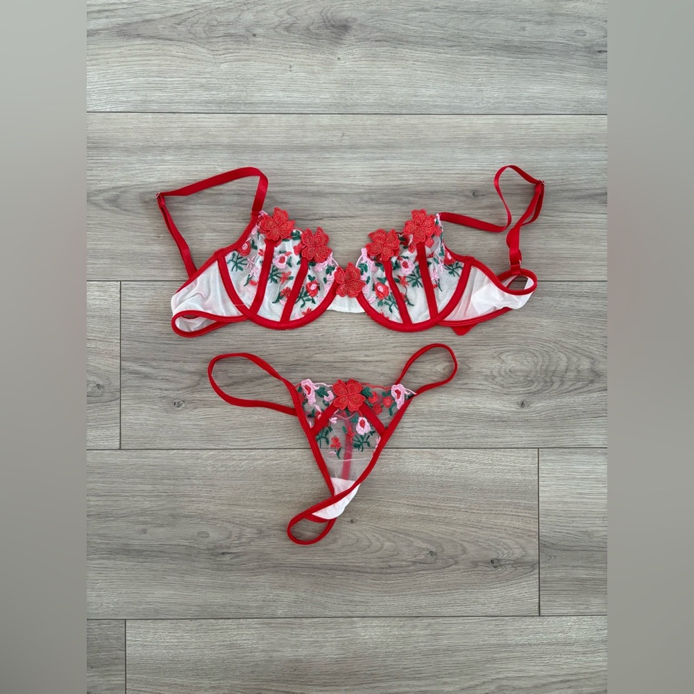 Red Floral Embroidered Lingerie Set